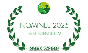 green screen